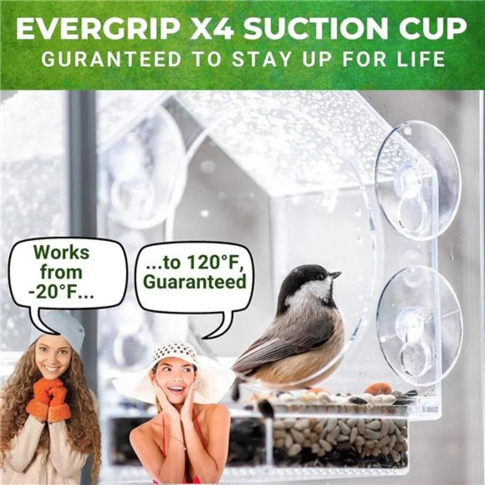 Window Bird Feeder by Nature Anywhere - Transparent Acrylic Bird Feeders